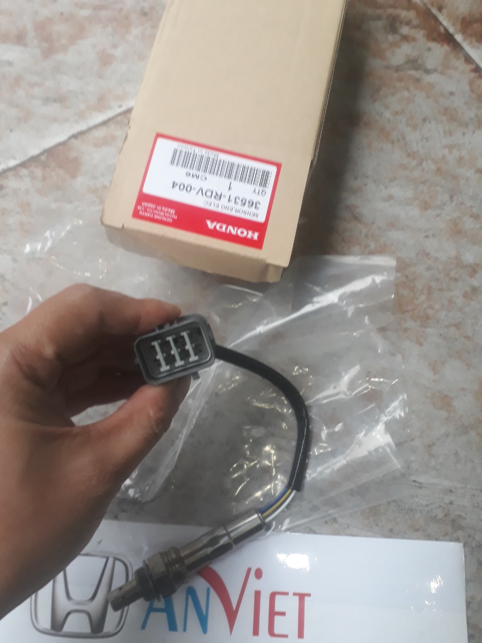 cam bien oxi honda Accord con duoi